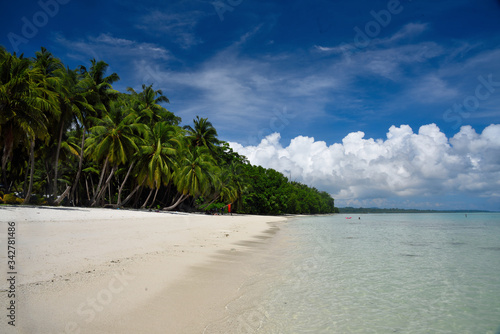 Fototapeta Naklejka Na Ścianę i Meble -  tropical beach with palm trees