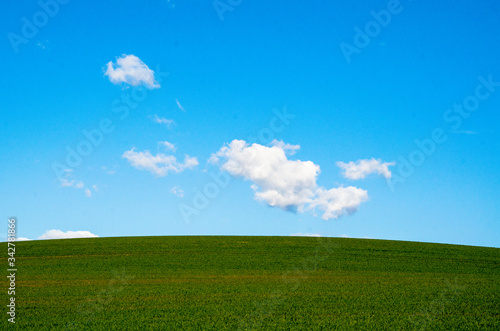 Blue sky and green grass landscape