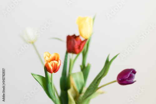 Fototapeta Naklejka Na Ścianę i Meble -  Beautiful multicolored tulips in a vase on white background