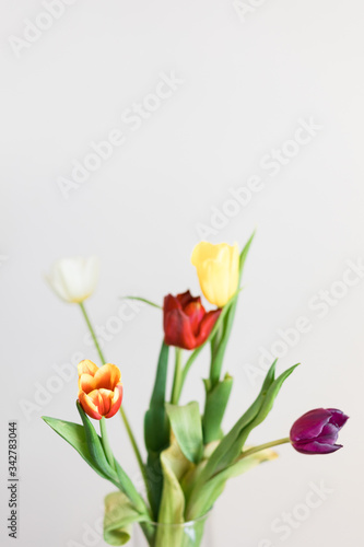 Fototapeta Naklejka Na Ścianę i Meble -  Beautiful multicolored tulips in a vase on white background