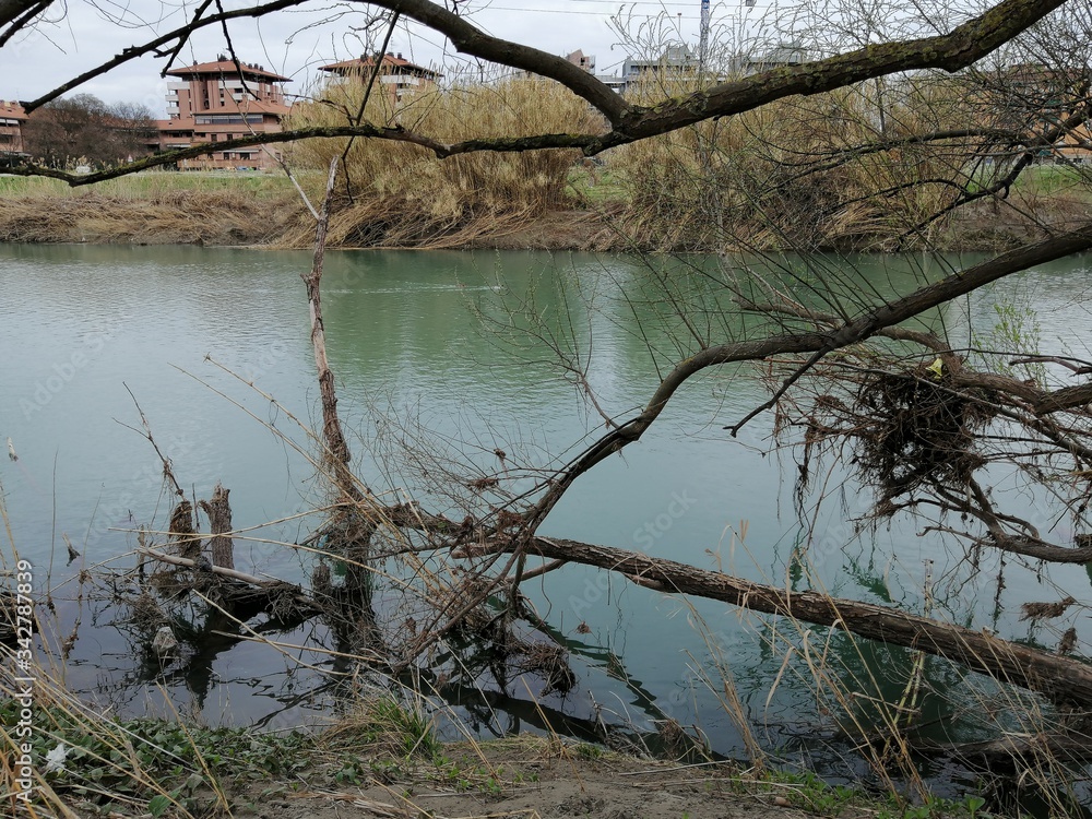 Obraz premium fiume reno a bologna