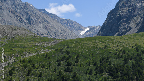 silhouettes mountain range of Altai  valley with forests and rocks for hiking