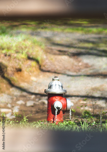 fire hydrant in the park © Tyler