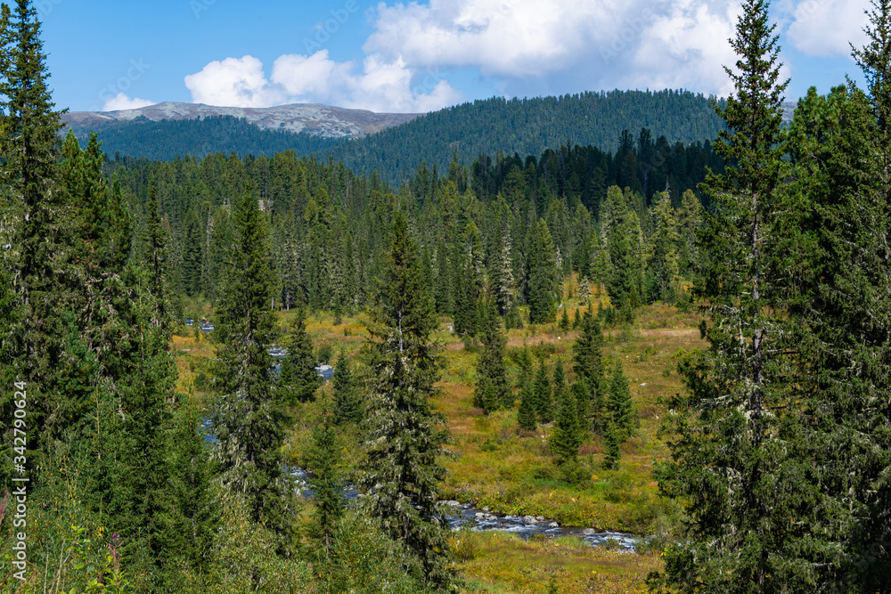 mountain range with rocky ledges and coniferous forest, tourist route for hiking mountain range with rocky ledges and coniferous forest, tourist route for hiking