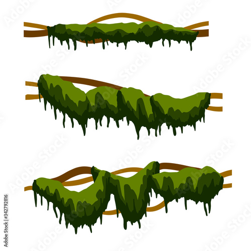 Set of branches with moss and green grass. Swamp bog vine of trees. Marsh plant. Cartoon flat illustration. Part of scenery of jungle