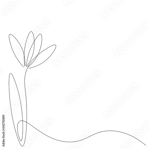 Flower spring background, vector illustration