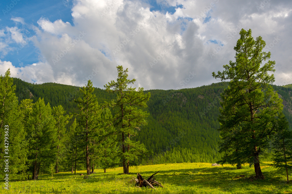 mountain valley with trees and hills under cloudy sky, place for meditation and hiking mountain valley with trees and hills under cloudy sky, place for meditation and hiking
