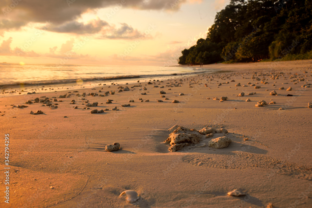 Obraz premium sunrise on the beach