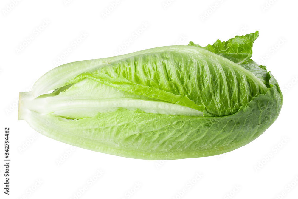 Cos lettuce isolated on a white background Cos lettuce isolated on a white background