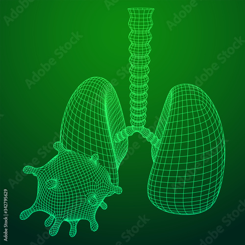 Corona Virus and Lungs with trachea bronchi internal organ human. Covid virus pulmonology medicine science concept. Wireframe low poly mesh vector illustration.