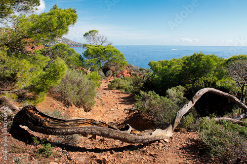 Sentier GR de randonnée du Cap Dramont Saint-Raphaël photo