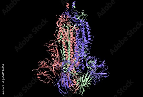 Structure of the SARS-CoV-2 spike glycoprotein, 3D cartoon model, black background