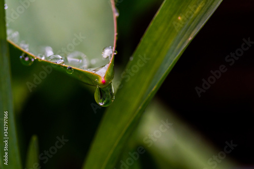 mirror in a drop