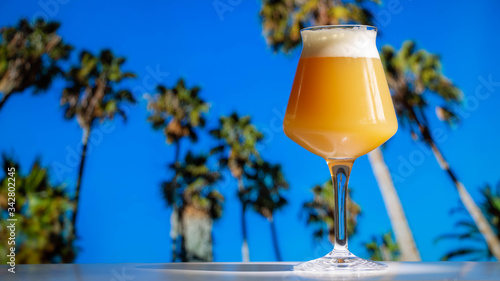 A hazy India pale ale craft beer in a Teku Glass with tropical palm trees and blue sky. photo