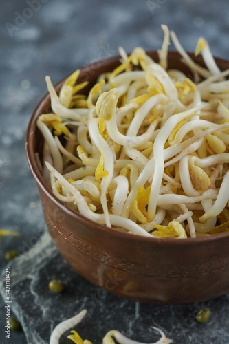 Homegrown Bean Sprouts / Health nutriotion concept, selective focus