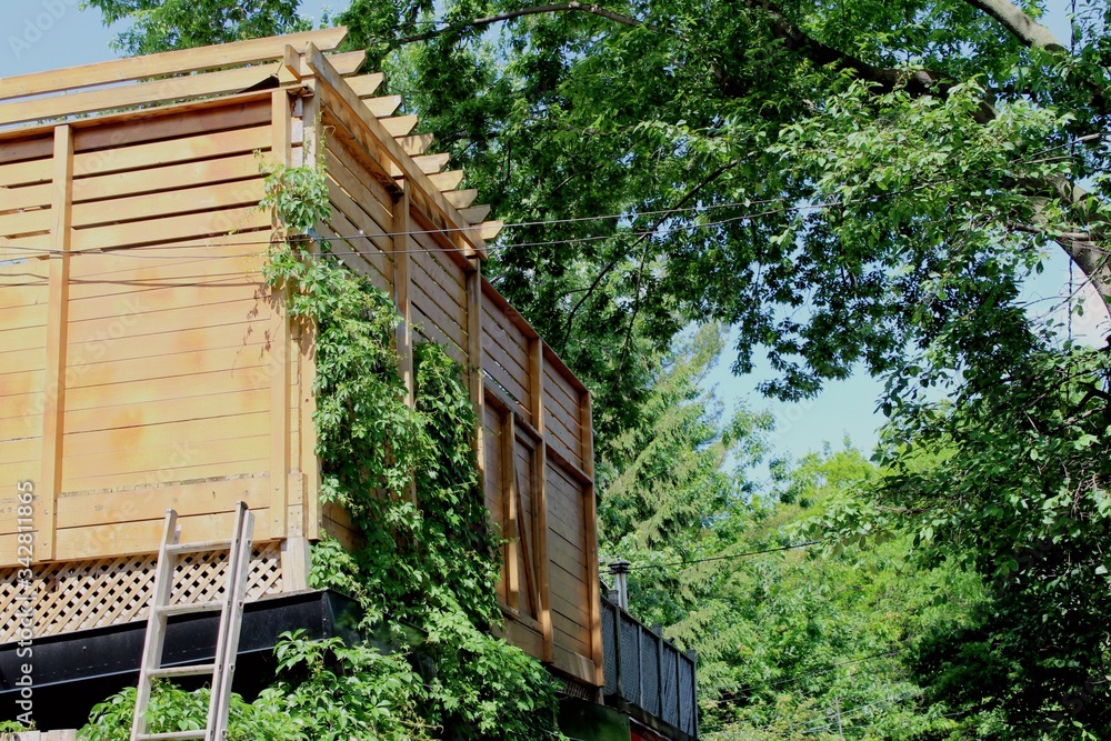 Beautiful city of Montreal, Canada, in the hipster neighborhood of Plateau Mont Royal that's like urban garden full of flowers, plants and green trees in summer season. A wooden terrace for staycation