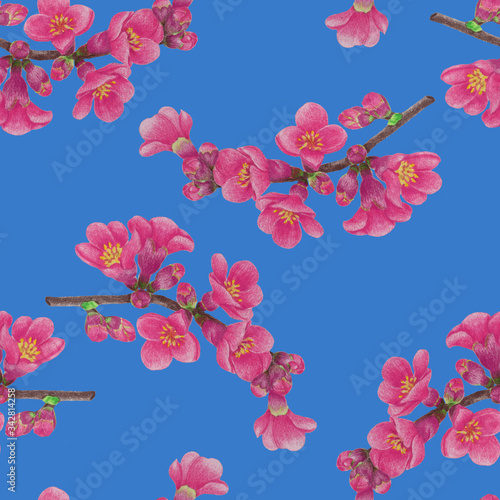 Quince on a blue background