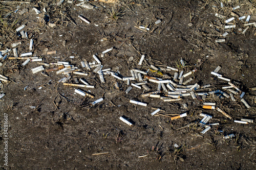 Pollution of nature. Cigarette butts on the ground