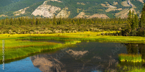 nature scenaries along the river Athabaska, Jasper National Park, Alberta, Canada photo