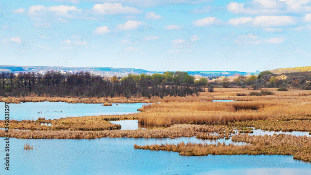 Spring landscape with river, reeds and forest in the distance