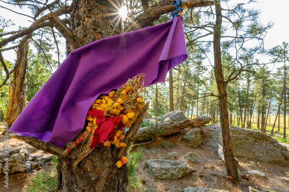 Prayer Clothes Hang on Trees with Sunburst Prayer Clothes Hang on Trees with Sunburst