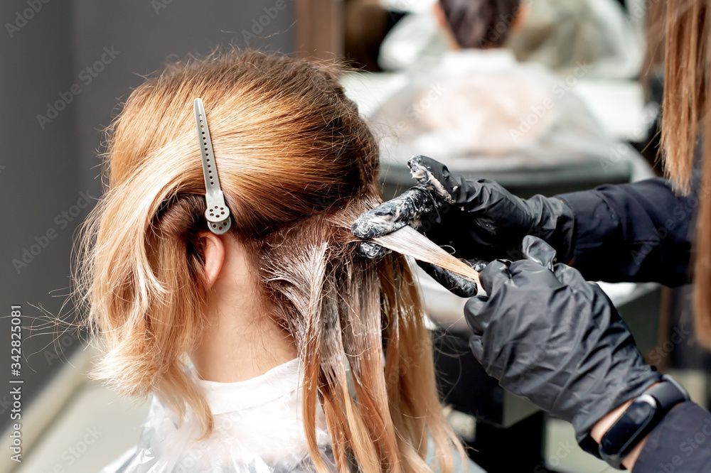 Fototapeta premium Hairdresser hands is dyeing hair of woman in hair salon.
