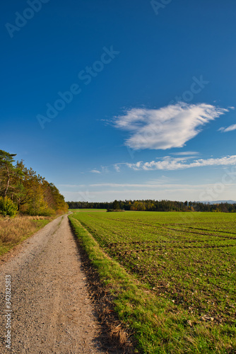 Landschaft mit Feldern Wald und Feldweg im Herbst