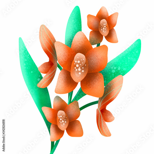 Orange Orchid