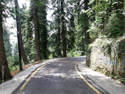 road in the forest