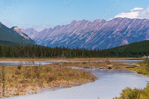 nature sceneries from the Athabaska riverbanks, Jasper, Alberta, Canada