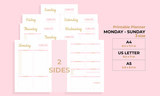 Beauty pink Minimalist Daily planner pages templates vector paper A4, US Letter, A5, AI & EPS 10 Template
