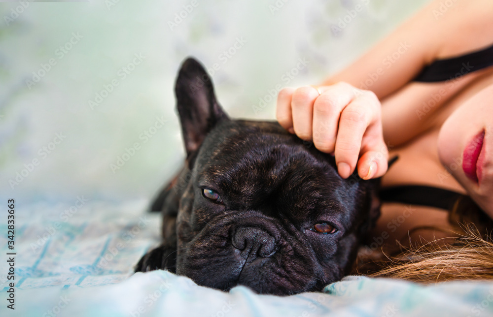 beautiful girl and french bulldog lying on the bed