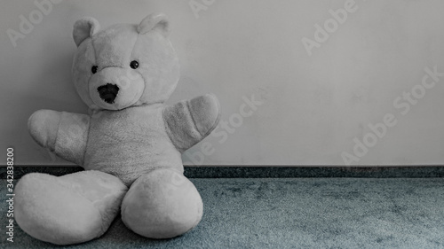 Photos Stuffed teddy bear cute little kids toy sitting alone