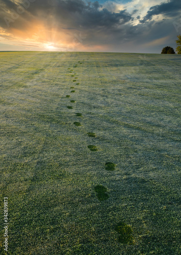 Footprints in the dew covered grass at a golf course