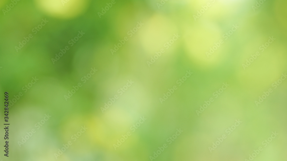Obraz premium Abstract green blurred background,Nature gradient backdrop.