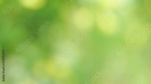  Abstract green blurred background,Nature gradient backdrop.