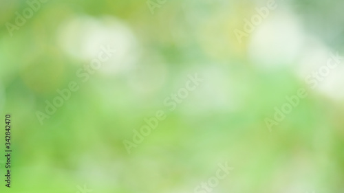 Abstract green blurred background,Nature gradient backdrop.
