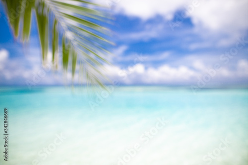 Blur palm leaf on tropical bokeh wave beach abstract background. Travel vacation concept. Dream beach landscape 