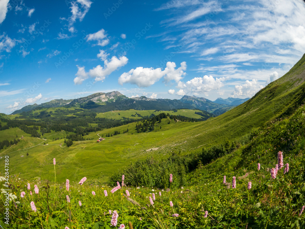 Summer time mountain panoramic landscape near Rochers-de-naye