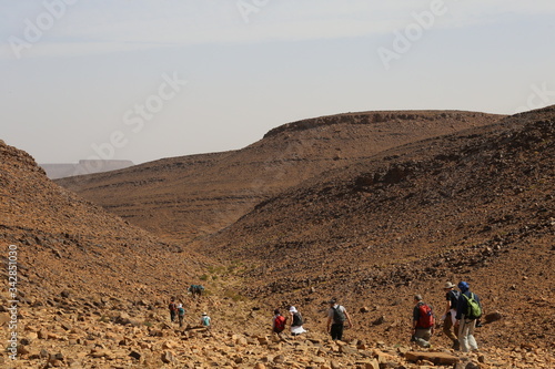 Caravane traversant un désert de pierre dans la région de Ouarzazate (Maroc)	