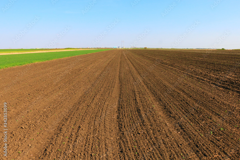 Plowed field in spring time with blue sky Plowed field in spring time with blue sky
