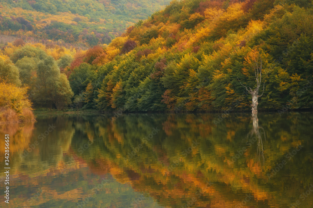 Fototapeta premium Autumn lake