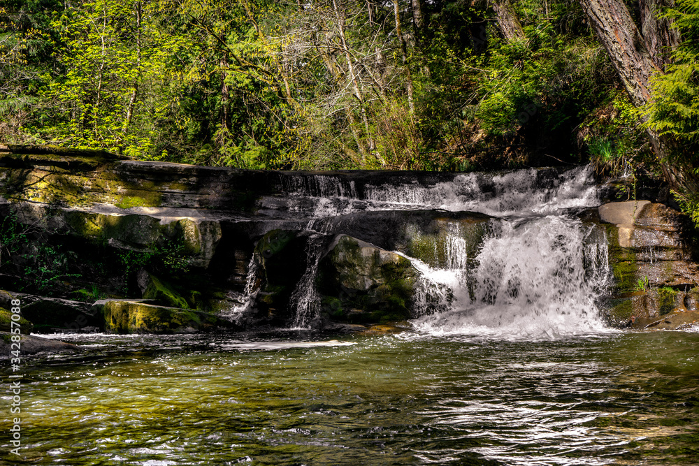 Fototapeta premium small waterfall in the forest