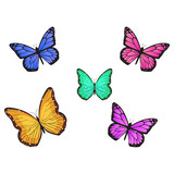 butterfly vector illustration 