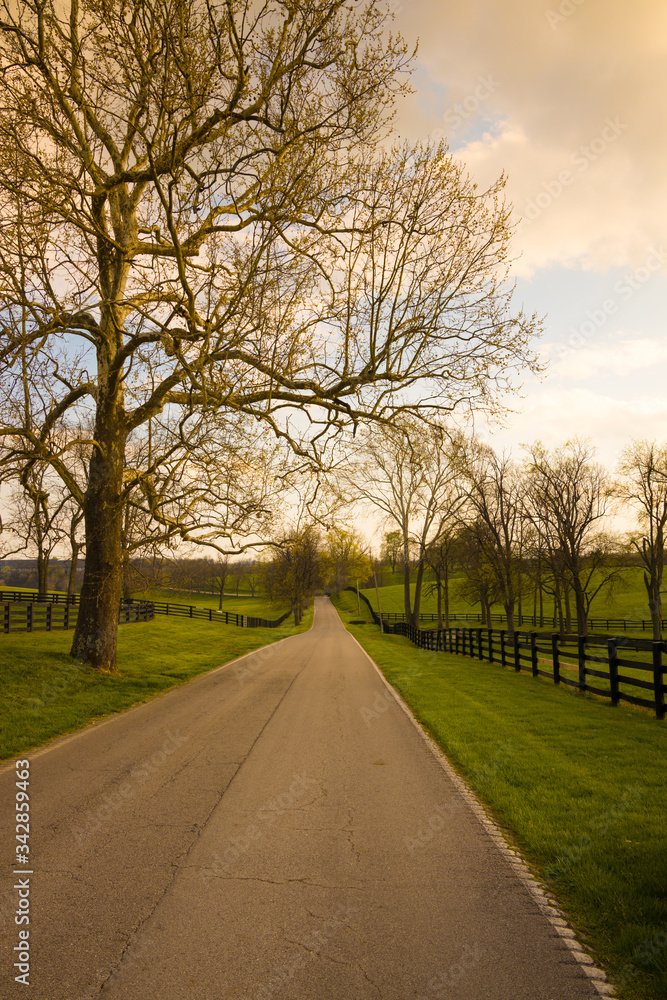 Country road along the horse farms at sunset. Country road along the horse farms at sunset.
