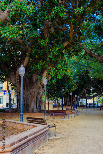 Canalejas Park in Alicante. Spain photo