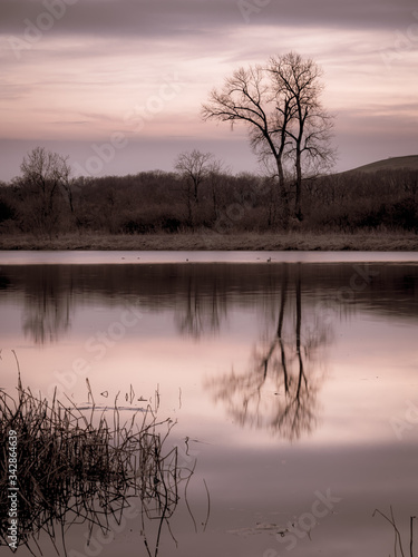 evening light over a lake © A. Nasim
