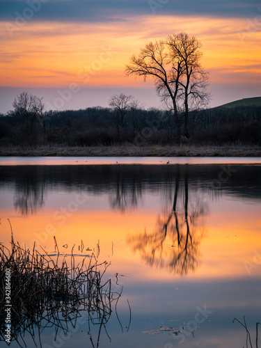 Fototapeta Naklejka Na Ścianę i Meble -  evening light over a lake