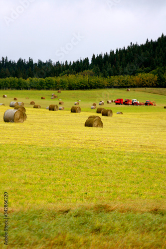 Harvesting Grass and Hay