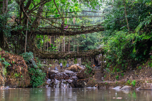 Photos The well known signature double Decker living root bridges formed of living plant roots by shaping the tree roots